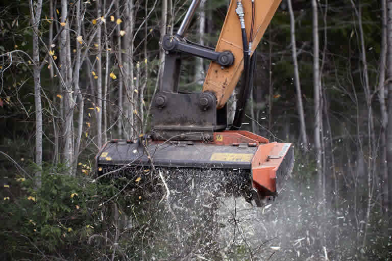 Excavator clearing trees in wooded area